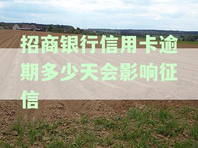 招商银行信用卡逾期处理及逾期影响：协商方式与征信后果