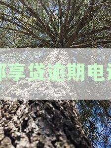 邮享贷逾期电话