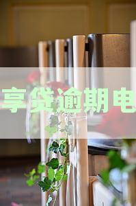 邮享贷逾期怎么办？如何办理期还款，逾期一天的处理措