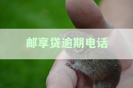 邮享贷客服电话是多少？太享贷客服电话详询