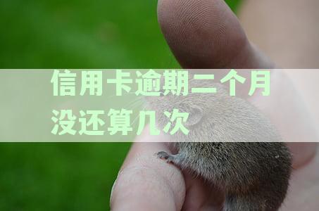 信用卡逾期二个月没还算几次逾期：信用卡逾期两月应对指南