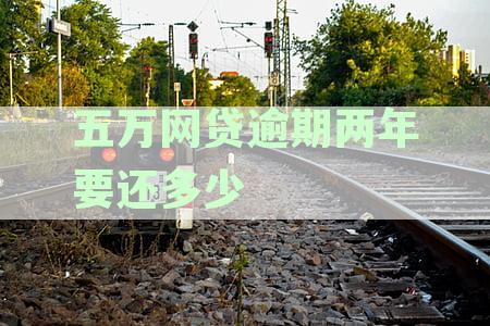 五万网贷逾期两年要还多少利息：综合计算与费用