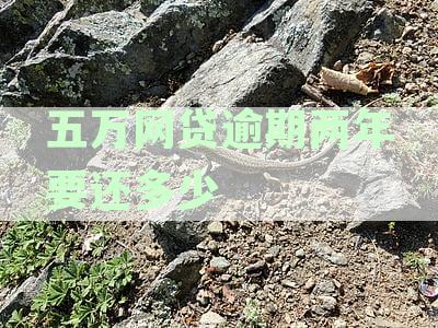 网贷5万逾期两年还多少本金利息总额