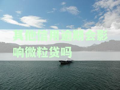 其他信用逾期会影响微粒贷吗：相关性分析与解决方案