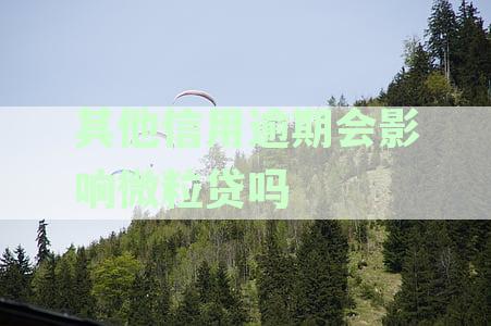 其他平台逾期会影响微粒贷吗：安全吗，其它平台逾期了微粒贷还可以用吗，其它网贷逾期影响微粒贷吗