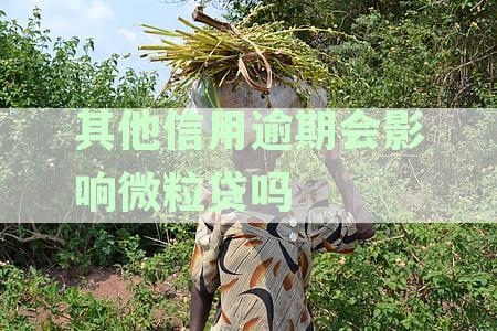 其他贷款逾期了对正常使用的信用卡造成影响吗？探究逾期贷款与信用卡之间的关系