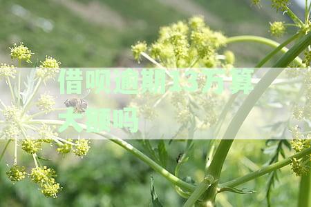 借呗逾期13万算大额吗：怎么办？原因分析
