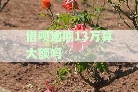 借呗13万逾期50天后还能借吗？会被告吗？解决办法！
