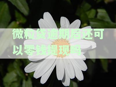 微粒贷逾期后还可以零钱提现吗？安全吗？