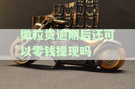 微粒贷逾期以后还可以使用吗，逾期后还有额度吗，逾期还进去后能否正常使用
