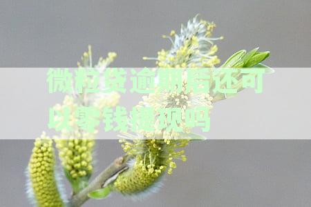 微粒贷逾期了还能借出吗？逾期后如何还款及借款条件