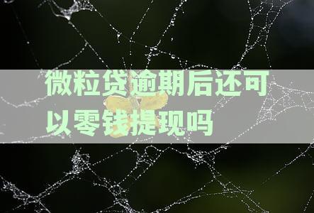 微粒贷逾期还能借钱嘛：逾期后如何再次借款？