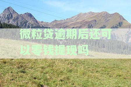微粒贷逾期后还可以零钱提现吗