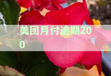 美团月付逾期2000会打电话给通讯录里面的人吗？逾期几天后会发生？安全问题分析