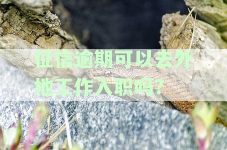 征信逾期可以进厂吗，逾期记录对银行工作是否有影响