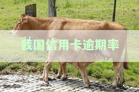2021年信用卡逾期率及人数金额对比2020年逾期率