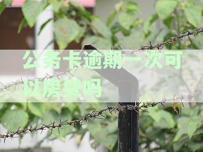 公务卡逾期一次可以房贷吗