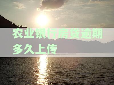 农业银行房贷逾期多久上传征信报告？逾期后如何补救？银行何时收房？