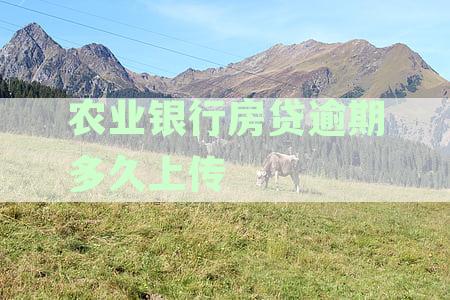 农业银行房贷逾期多久上传征信记录？逾期多久银行会收房？如何补救？