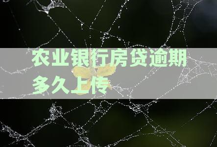 农业银行房贷逾期多久上传