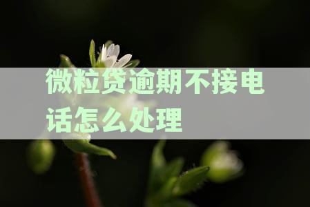 微粒贷逾期不接电话怎么处理呢：逾期不接会怎样，多久爆通讯录
