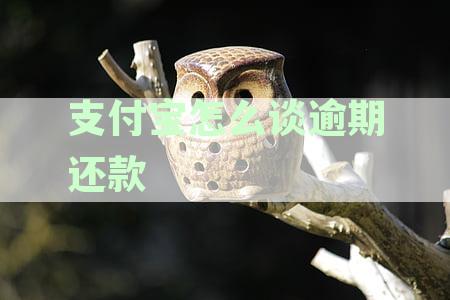 支付宝怎么谈逾期还款金额：逾期后还款方式及金额协商技巧
