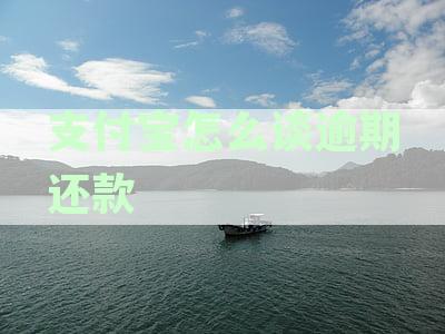 支付宝逾期怎么弄：芝麻粒、恢复、流程详解