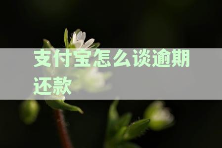 支付宝怎么谈逾期还款