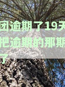 美团逾期19天我还款后能否办理期？逾期期数及还款影响解析