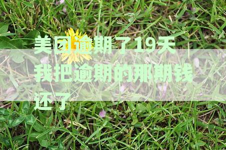 美团逾期19天还清后还能借款吗？