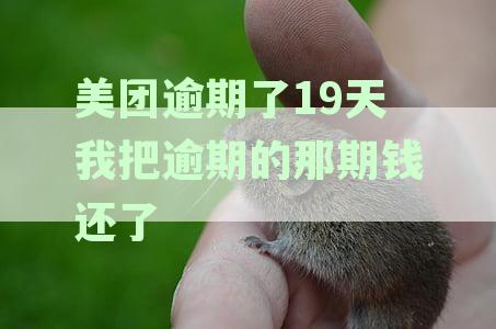 美团逾期了19天我把逾期的那期钱还了
