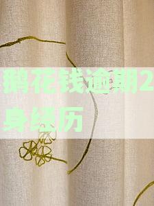 小鹅花钱逾期2年亲身经历：协商还款与被起诉应对策略