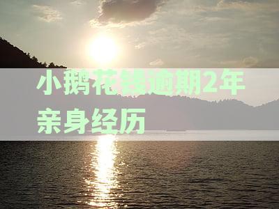 小鹅花钱协商还款电话：逾期可协商，小花钱包逾期还款指南