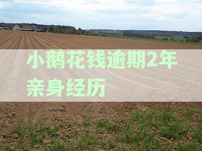 小鹅花钱逾期2年亲身经历