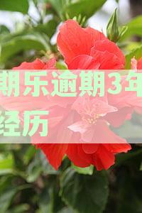 分期乐逾期三年亲身经历最新：逾期的后果与解决办法