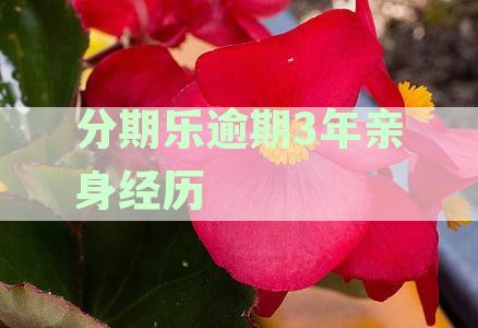 分期乐逾期三年了怎么办:亲身经历利息还款影响使用后果
