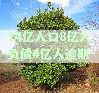 14亿人口8亿人负债4亿人逾期都会坐牢吗？探讨我国债务现象及其法律后果