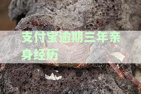 支付宝逾期三年亲身经历：借呗80000元逾期2年后果