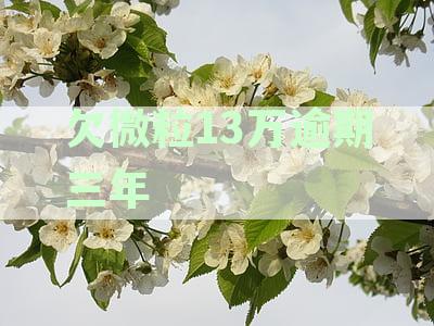 欠微粒13万逾期三年会有什么影响：探究逾期还款的影响与后果