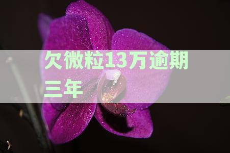 欠微粒13万逾期三年会是黑户吗：如何应对可能的黑户问题