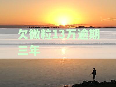 欠微粒13万逾期三年如何办理期，所需费用是多少？