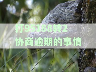 打95188转2协商逾期的事情白条人工沟通解决