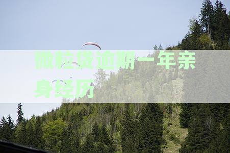 微粒贷逾期一年亲身经历：逾期一年半还款后能否继续使用及是否会起诉