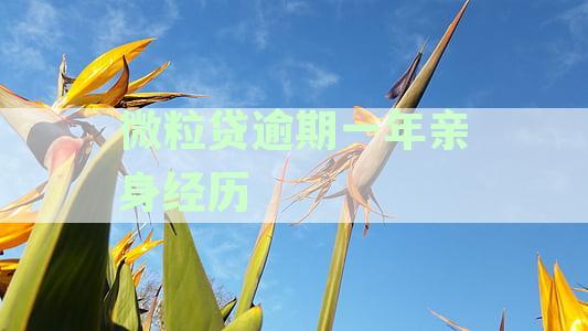 微粒贷逾期一年半处理方式及催收情况解析，起诉传闻真相