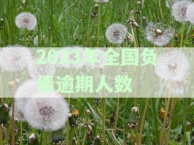 2023年全国负债逾期人数官方数据发布，透视逾期趋势与挑战