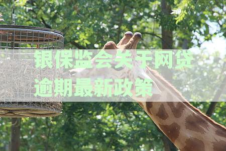 银保监会关于网贷逾期最新政策官网查询