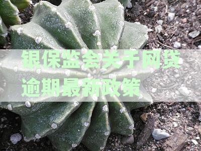 银保监会关于网贷逾期最新政策文件通知解读