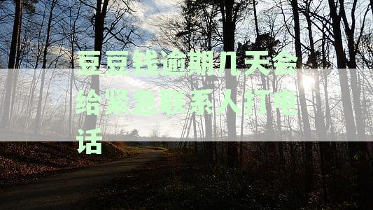 豆豆钱逾期几天会给紧急联系人打电话2021,我爱卡,打几个,两天会吗