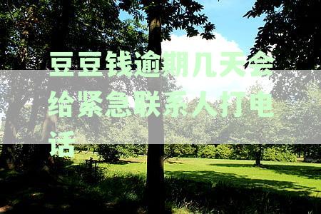 豆豆钱逾期几天会给紧急联系人打电话2023,我爱卡打几个