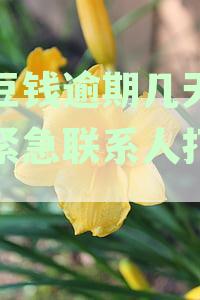 豆豆钱逾期6天会首先打给填资料的紧急联系人吗？逾期几天会联系其他联系人？